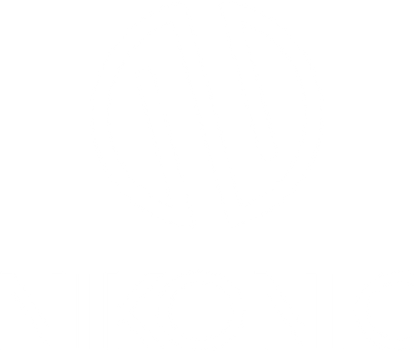 Nikonic Apparel logo